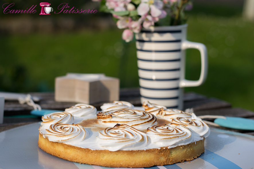 La Tarte Au Citron Meringuee De Ceux Qui N Aiment Pas La Tarte Au Citron Camille Patisserie