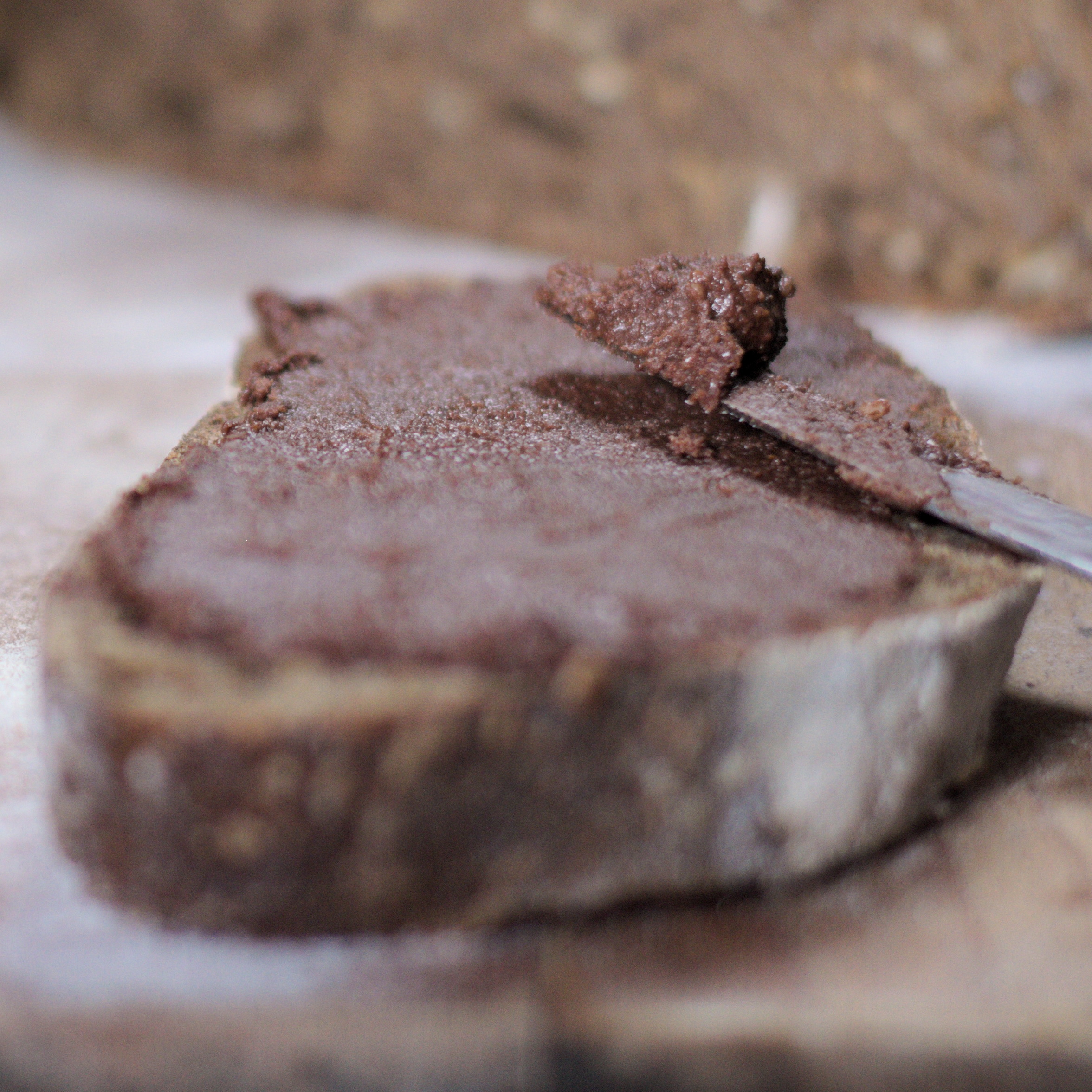 Pate A Tartiner Amandes Noix Et Chocolat Camille Patisserie